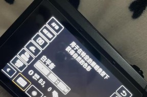 佳能单色滤镜色调怎么调？单色滤镜的调整技巧是什么？