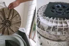 如何拆开以波轮洗衣机进行清洗（简单步骤教你清洗以波轮洗衣机）