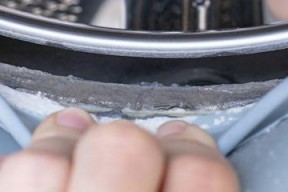 解决波轮洗衣机发霉问题的有效方法（以波轮洗衣机发霉的原因及预防方法）