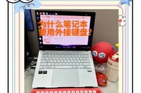戴尔电脑连接外接键盘鼠标的方法是什么？操作步骤是怎样的？