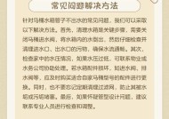 解决马桶不进水的问题（如何应对马桶不进水的情况）