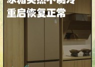三星冰箱不制冷的原因和解决方法（为什么三星冰箱不制冷？如何解决三星冰箱不制冷的问题？）