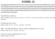 TCL冰箱报FF故障代码——原因与解决方法（探究TCL冰箱报FF故障代码的原因及有效解决方法）