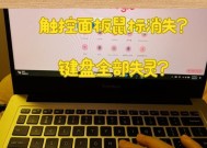 鼠标无法使用时驱动问题如何解决？