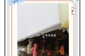 帅康壁挂炉水压过高的原因及解决方法（学会解决壁挂炉水压过高问题）