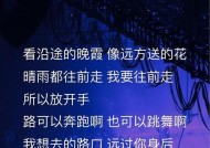 电视玫瑰插曲全集在哪里找？