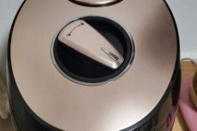 电饭煲为什么不能保温（探究电饭煲保温功能缺失的原因）