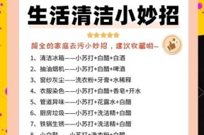 如何有效清洗油烟机内垃圾（科学方法让油烟机保持高效运转）