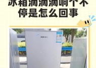 冰箱不制冷又流水，如何应对（解决冰箱制冷问题的实用方法与技巧）
