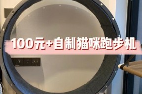 猫跑步机脱轨了怎么处理？如何预防再次发生？