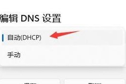 DNS配置错误处理技巧（解决DNS配置错误的有效方法）