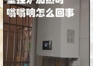 壁挂炉漏气的危害与预防措施（如何检测壁挂炉漏气及应对之策）