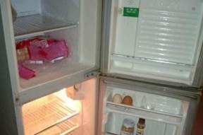 冰箱内漏的原因及解决方法（揭秘冰箱内漏背后的故事）