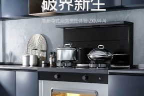 大美集成灶故障代码解析（深入了解大美集成灶常见故障及解决方法）