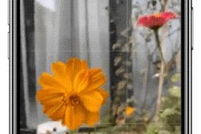 手机拍照微距功能怎么开启？