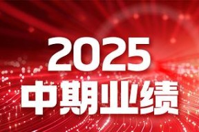 破局而立，向智而行——长虹佳华 2025 中期业绩背后的增长逻辑