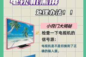 电视机突然黑屏的原因及解决方法（了解电视机黑屏的常见原因和简单解决方案）