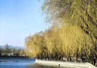 华为mate60怎么拍湖？拍摄湖景的技巧有哪些？
