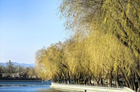 华为mate60怎么拍湖？拍摄湖景的技巧有哪些？