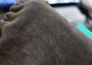 移动电源收容袋怎么用？如何正确使用和保养移动电源袋？