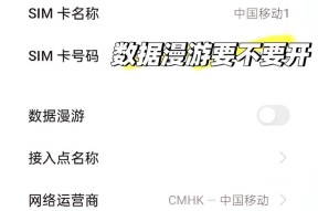 苹果手机漫游设置的具体位置在哪里？设置漫游时应注意哪些问题？