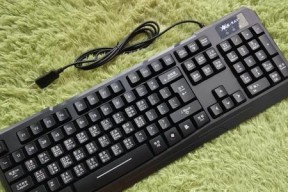 电脑练键盘打字是什么软件？哪个软件更适合初学者？