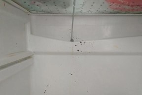 冰柜漏水了怎么办？检查原因有哪些步骤？