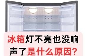 冰柜灯不亮的故障分析与解决方法（冰柜灯不亮可能的原因及排查步骤）