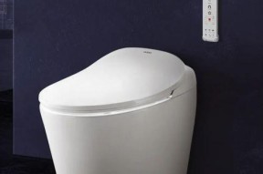 如何选择合适的马桶品牌（从功能到质量）
