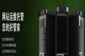 专业网站建设公司的选择指南（选择专业网站建设公司）