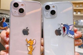 手机型号的Pro、SE、Max代表什么意思（探究不同手机型号背后的意义和特点）