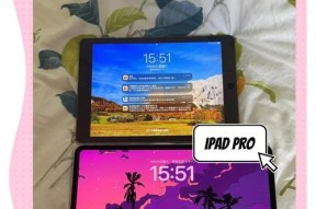 苹果最大的手机平板型号是什么？