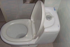 马桶底部边缘漏水的原因及解决方法（探究马桶底部边缘漏水的原因）