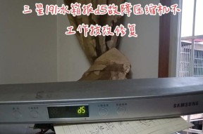 三星冰箱显示D5故障处理方法（解决三星冰箱显示D5故障的有效维修方法）