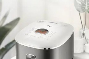 电饭煲漏气问题的原因及解决方法（电饭煲漏气问题的成因及解决方案）
