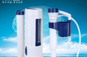 如何正确清洁马桶水箱（简单易行的清洁方法）