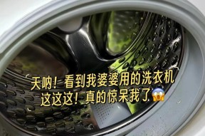 如何清洗洗衣机滚筒（洗衣机滚筒清洗方法大揭秘）