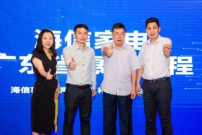科龙冰箱故障维修指南（解决您科龙冰箱故障的简便方法）