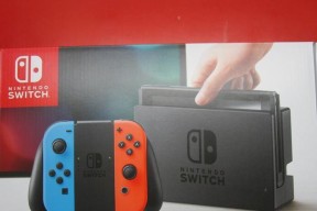 Switch无法输入序号怎么办？如何解决输入问题？