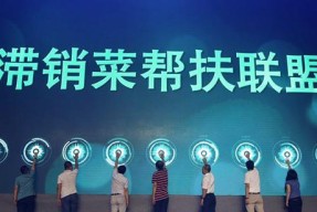 进口投影仪滞销的原因及解决策略（分析市场需求和竞争状况）