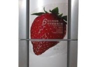 解决伊莱克斯冰箱门关不紧的小妙招（教你轻松解决伊莱克斯冰箱门关不紧的困扰）