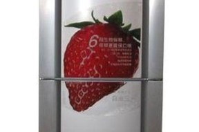 解决伊莱克斯冰箱门关不紧的小妙招（教你轻松解决伊莱克斯冰箱门关不紧的困扰）