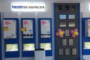 海顿壁挂炉D5故障现象及解决方法（了解海顿壁挂炉D5故障）