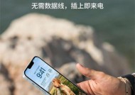 苹果手机使用尝鲜派的方法是什么？操作中可能遇到哪些问题？