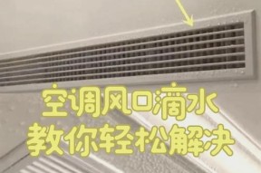 为什么以AEA移动空调会出现滴水问题（移动空调滴水的原因及维修方法）