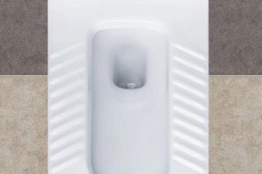如何选择质量好、耐用又便宜的蹲便器（品牌）