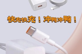 羊毛裤充电器使用方法？常见问题有哪些？