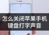 电脑怎么弄会有声音呢苹果？苹果电脑声音设置的方法是什么？