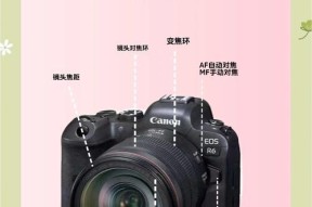 佳能相机霉斑怎么清除？清除方法是什么？