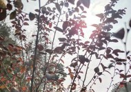 探寻卡莎帝空调E2故障的真相（了解E2故障含义及有效的维修方法）